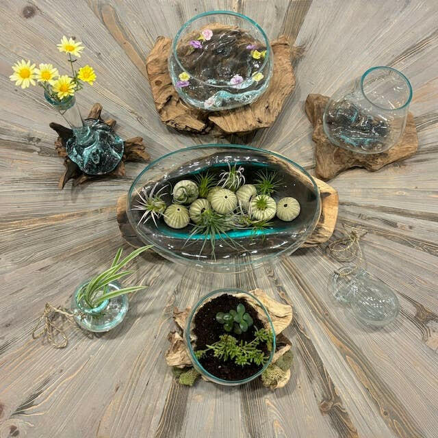 Long Glass Bowl Large/Terrarium Hand Blown on Driftwood.