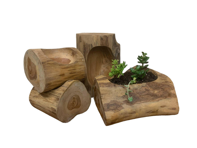 Wood Planter-Teakwood Log.