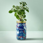 Holiday Herb Garden Jar