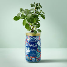 Holiday Herb Garden Jar
