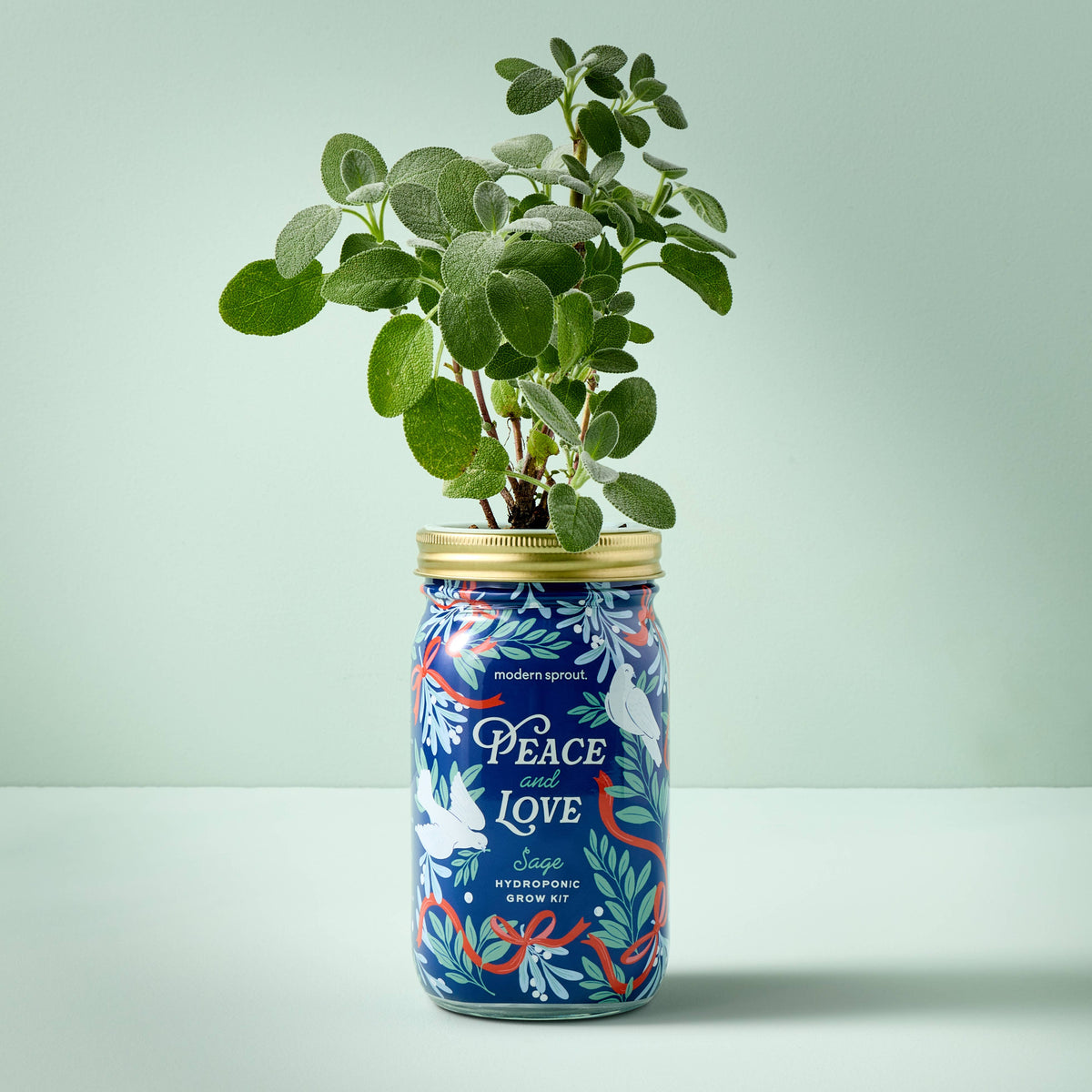Holiday Herb Garden Jar