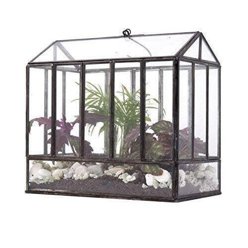 black terrarium plants Urban Born Handmade Indoor Tabletop Greenhouse Terrarium-- 10(L) x 6.5(W) x 10(H) (Black)