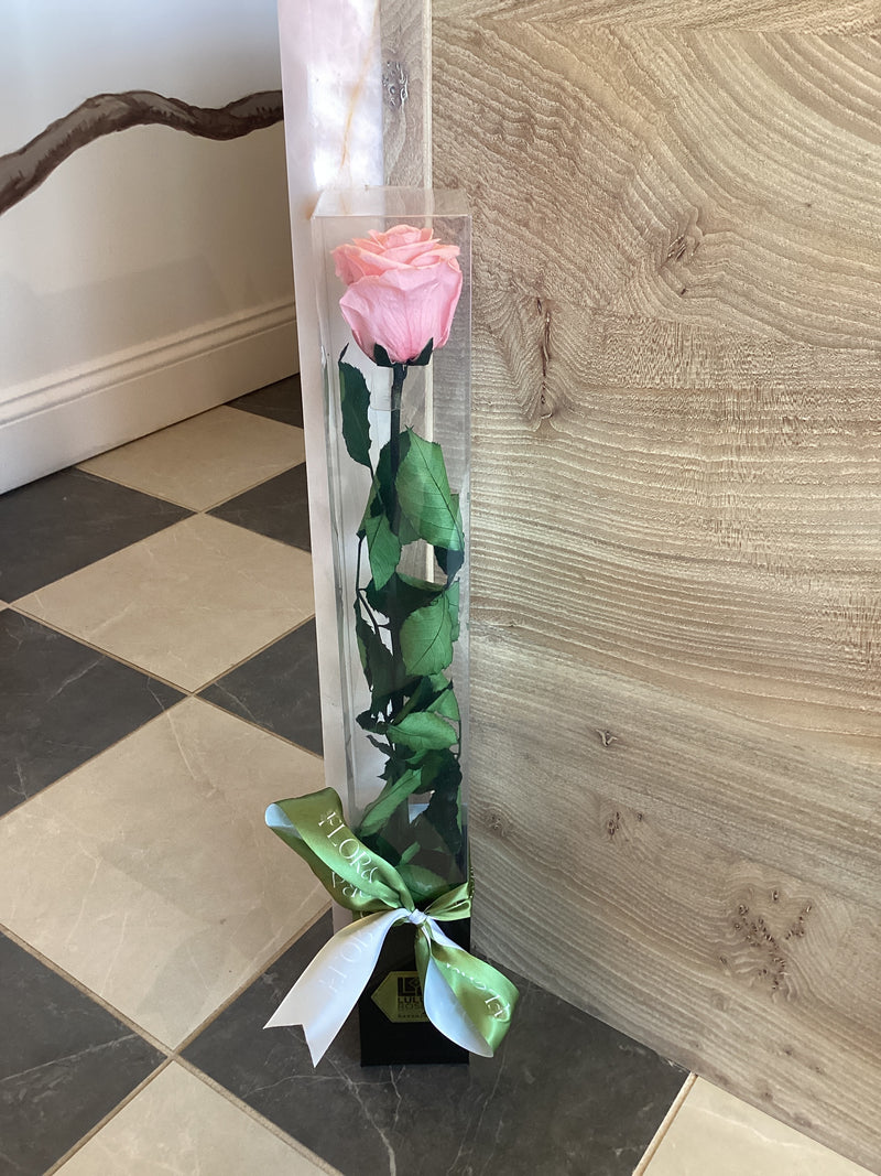 Pink Forever Preserved Rose