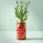Holiday Herb Garden Jar