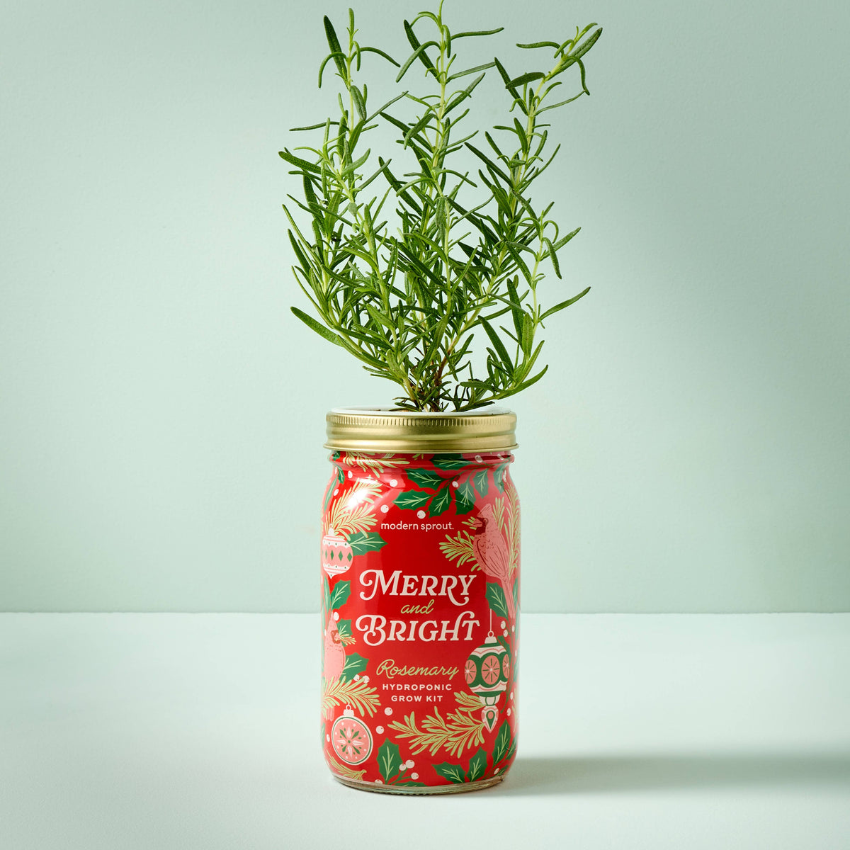 Holiday Herb Garden Jar