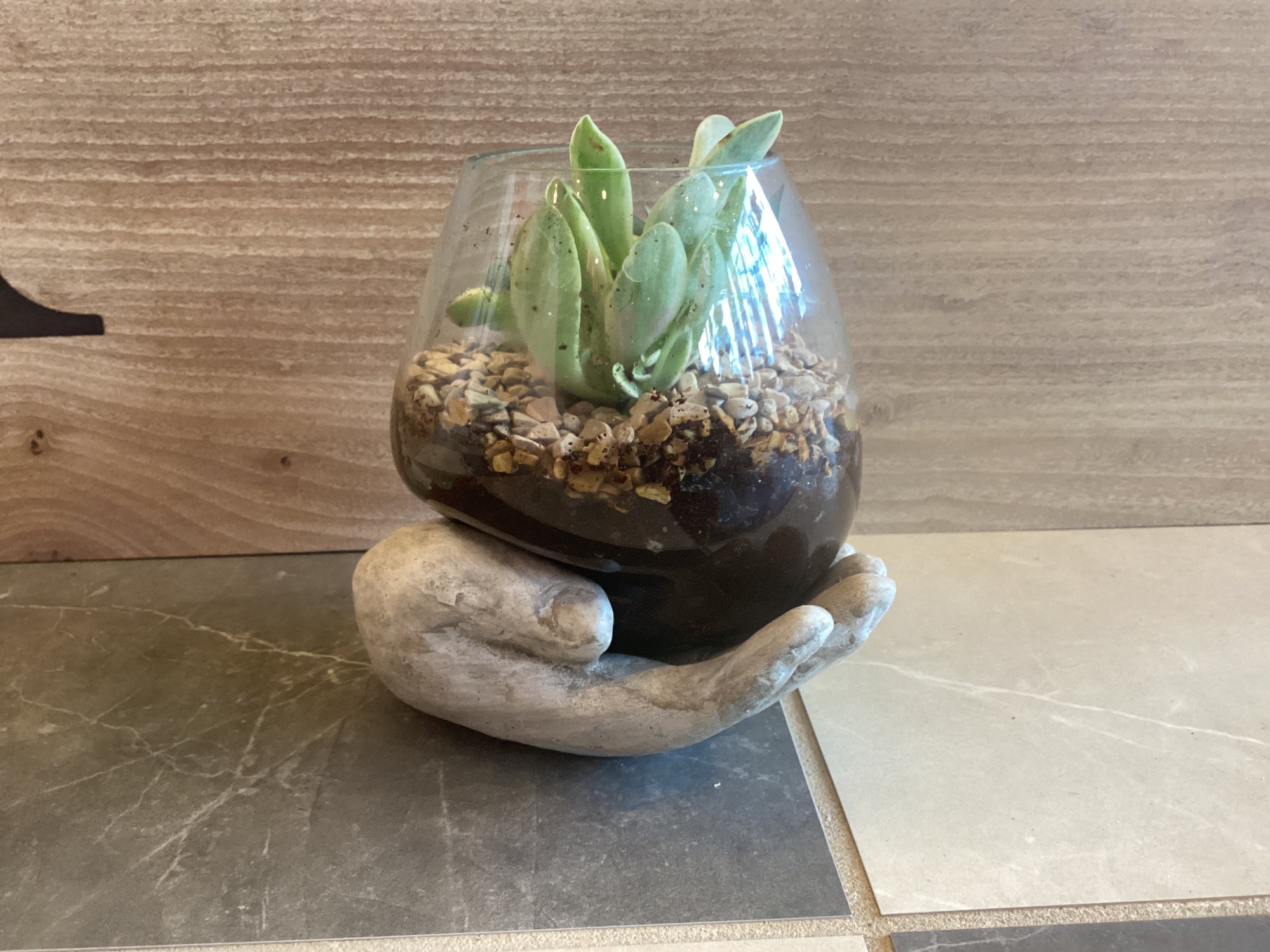 Open Hand Terrarium