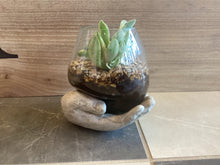 Open Hand Terrarium