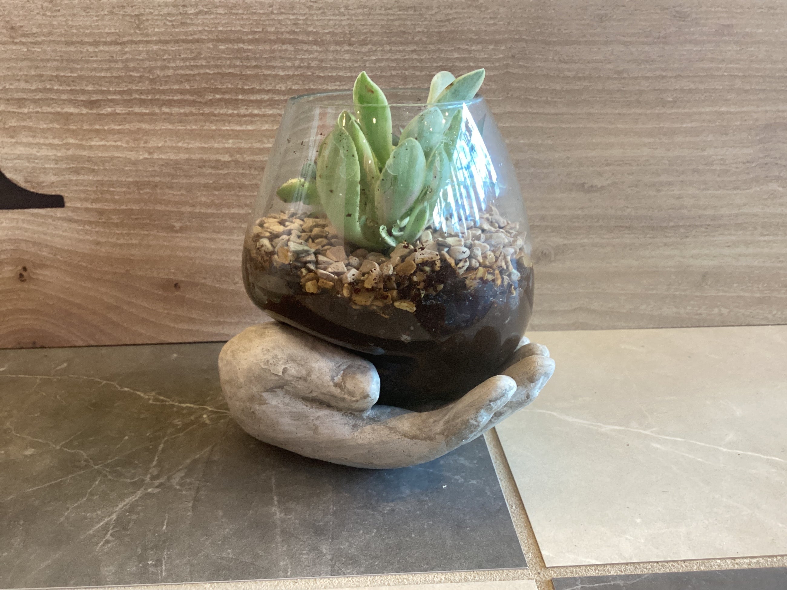 Open Hand Terrarium