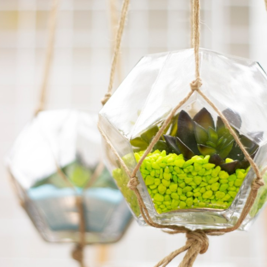 6.25"D Geometric Terrarium Bowl - Beckham Glass Vase.