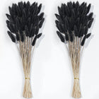 120 PCS Black Dried Pampas Grass Decor 17-inch Pompas Floral Dry Flowers for Decoration Pampas Grass in Black Tall Black Bunny Tails Dried Flowers for Boho Wedding Decor