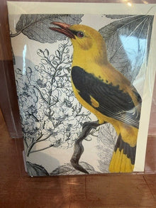 Hand-Cut Bird Cards