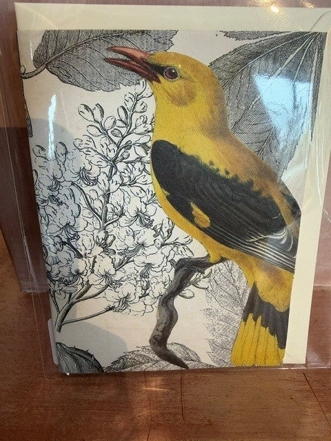 Hand-Cut Bird Cards