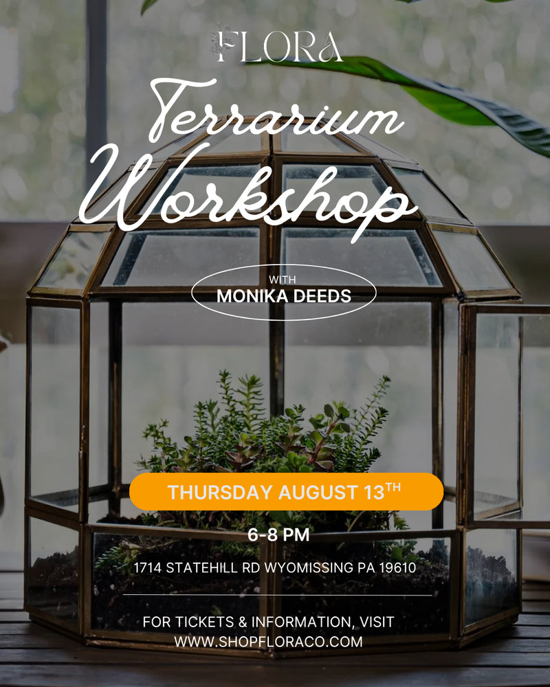 Terrarium Workshop