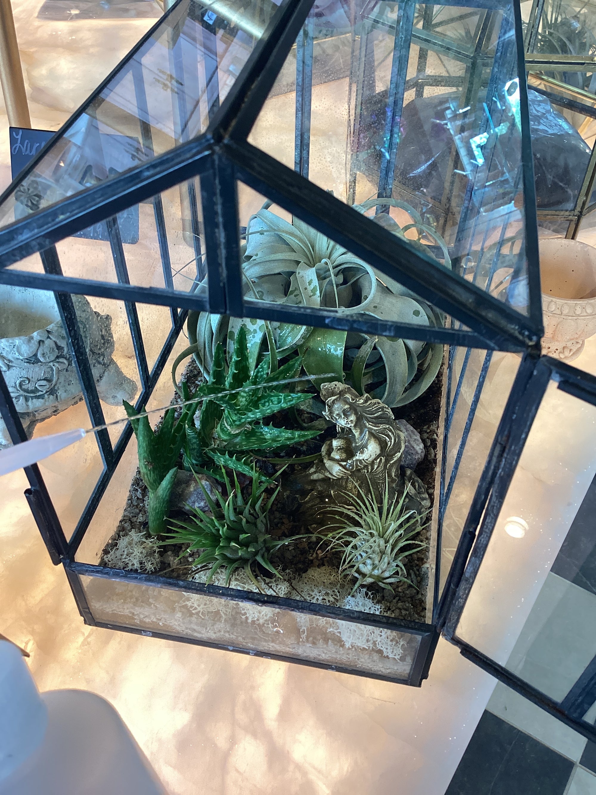 Terrarium Watering Bottle