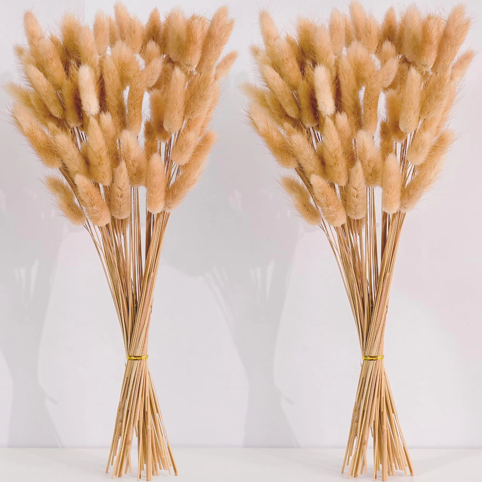 120 PCS Nature Dried Pampas Grass Decor 17-inch Pompas Floral Dry Flowers for Decoration Pampas Grass in Bulk Tall Nature Bunny Tails Dried Flowers for Boho Wedding Decor