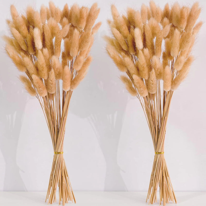 120 PCS Nature Dried Pampas Grass Decor 17-inch Pompas Floral Dry Flowers for Decoration Pampas Grass in Bulk Tall Nature Bunny Tails Dried Flowers for Boho Wedding Decor