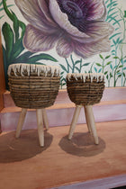 S/2 Grass & Cotton Roll Basket