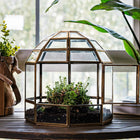 Terrarium Workshop