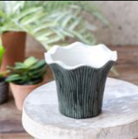4.5" DARK GREEN SCALLOPED EDGE POT