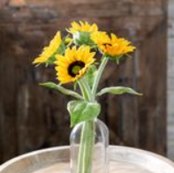 YL 4PC 13" BUNDLE SUNFLOWER