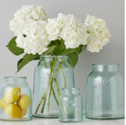 French Bee Clear Mason Jar Vase with Seal, XL