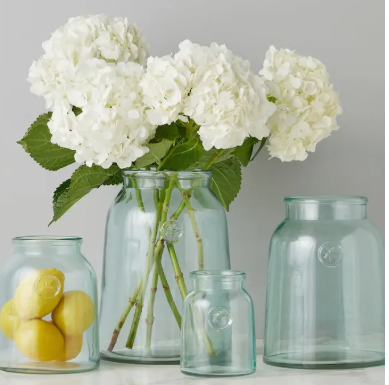 French Bee Clear Mason Jar Vase with Seal, XL