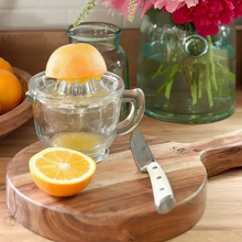 Clear Glass Citrus Juicer with Measuring Cup | French Bistro