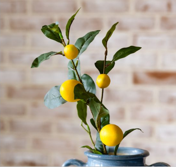 30" Lemon Stems