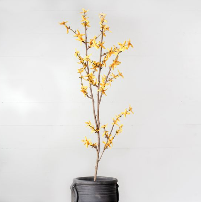 44" Yellow Forsythia Stem