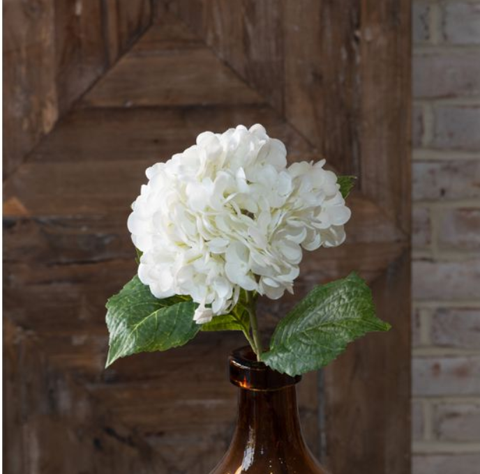 White Hydrangea Stem