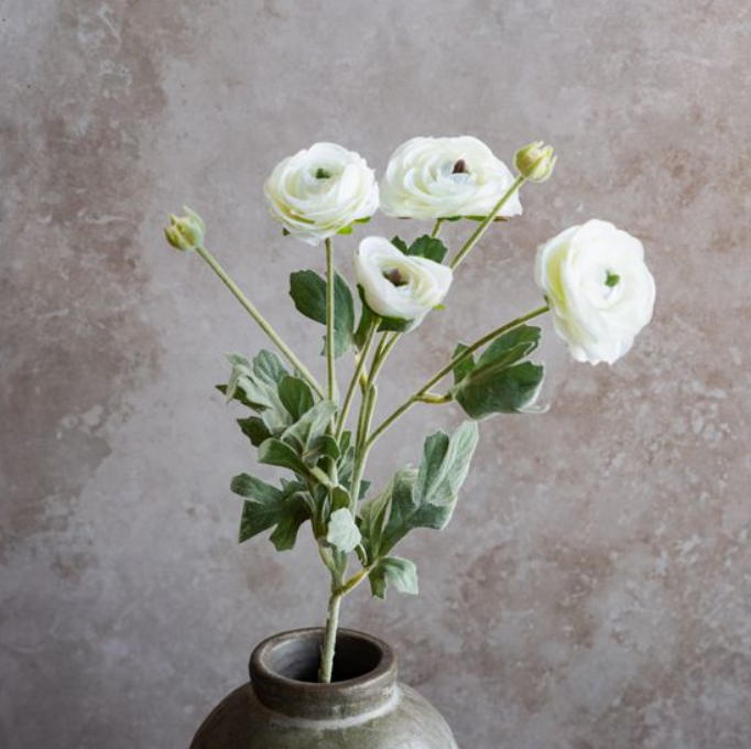 24" White Ranunculus