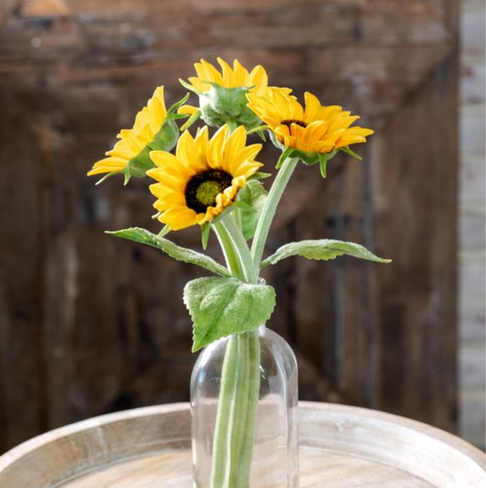 YL 4PC 13" BUNDLE SUNFLOWER