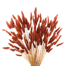 120pcs Burnt Orange Bunny Tails Dried Flowers17" Dried Faux Pampas Grass Bulk Decor Fall Pampas Dried Boho Flowers Lagurus Ovatus Rabbit Bunny Tail Grass for Home Wedding Decor Crafts