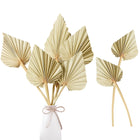 Sggvecsy Boho Dried Palm Leaves 20 Pieces 14.2’’ Natural Dried Palm Spears Small Dried Palm Fans for Flower Bouquet Boho Wedding Home Party Kitchen Vase Farmhouse Table Arrangements Anniversary Decor