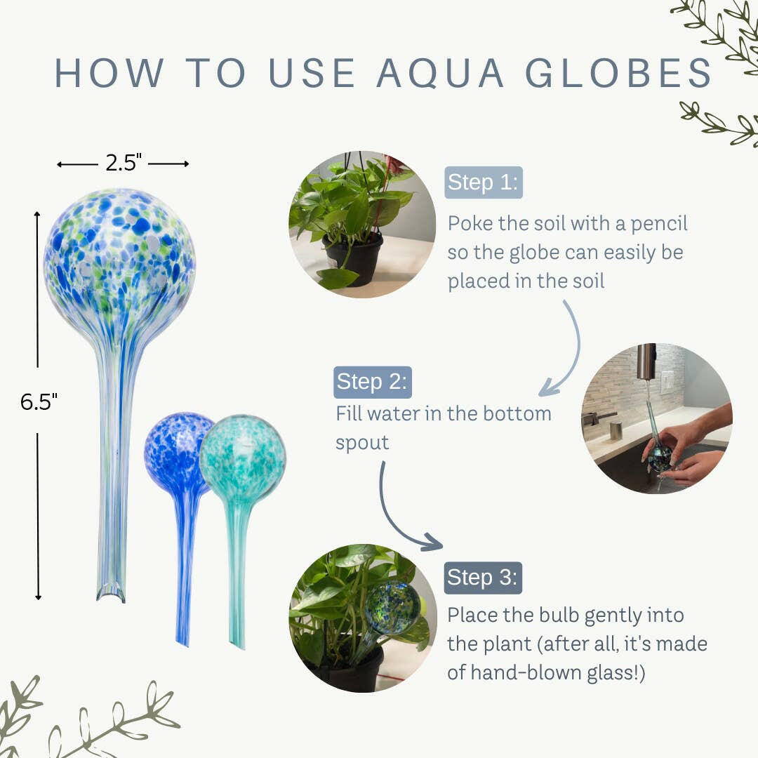 glass globe watering plants Lexi Home Self-Watering Plant Mini Aqua Globes