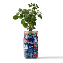 Holiday Herb Garden Jar