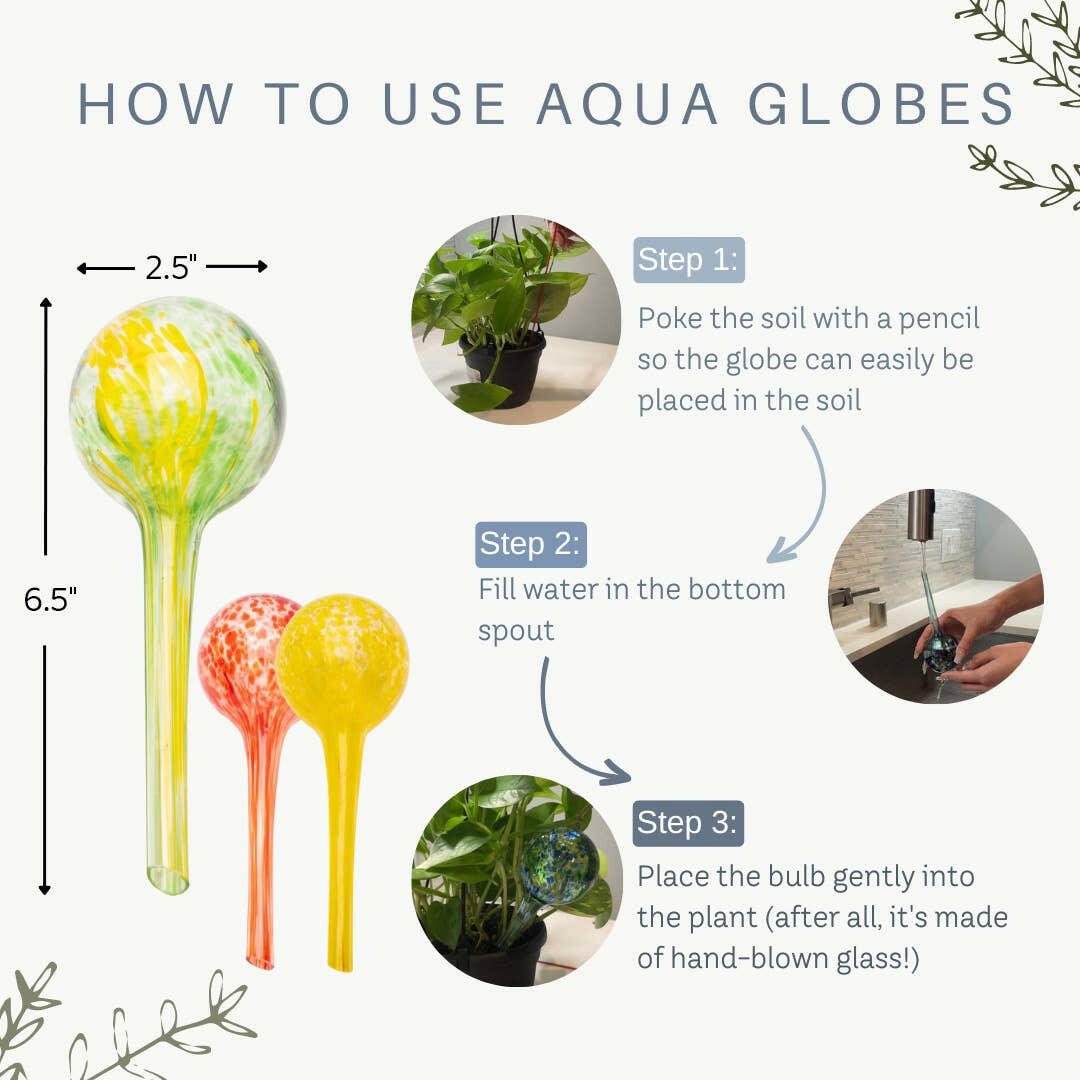 glass plant watering globe Lexi Home Self-Watering Plant Mini Aqua Globes