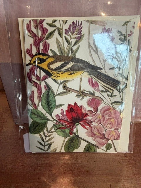 Hand-Cut Bird Cards