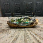 Long Glass Bowl Large/Terrarium Hand Blown on Driftwood.