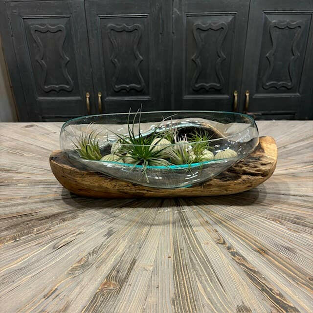 Long Glass Bowl Large/Terrarium Hand Blown on Driftwood.