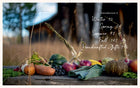 Alpenglow : Outdoor Celebrations for Every Season