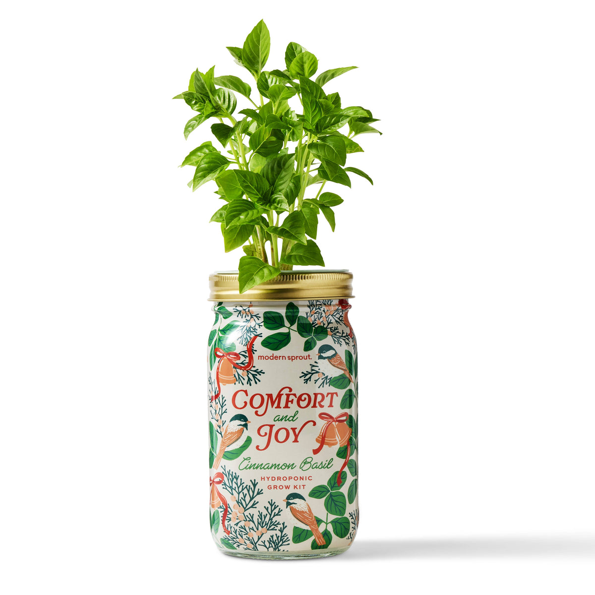 Holiday Herb Garden Jar