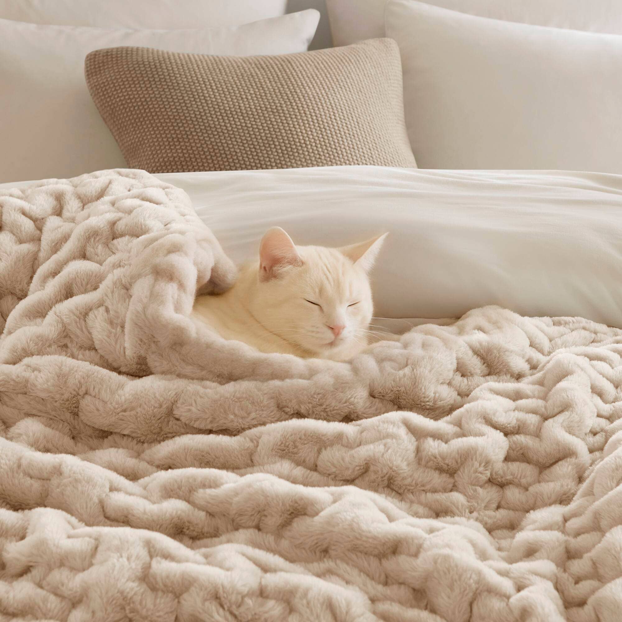 Soft Ruched 50x60" Throw Blanket, Tan