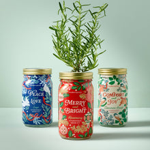 Holiday Herb Garden Jar