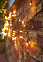 Solar Ivy Lights