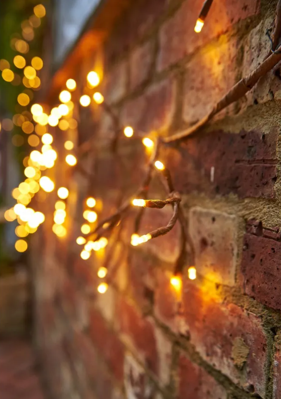 Solar Ivy Lights
