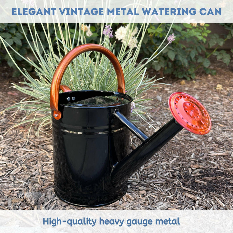Lexi Home 3-Liter Removable Spout Watering Cans.