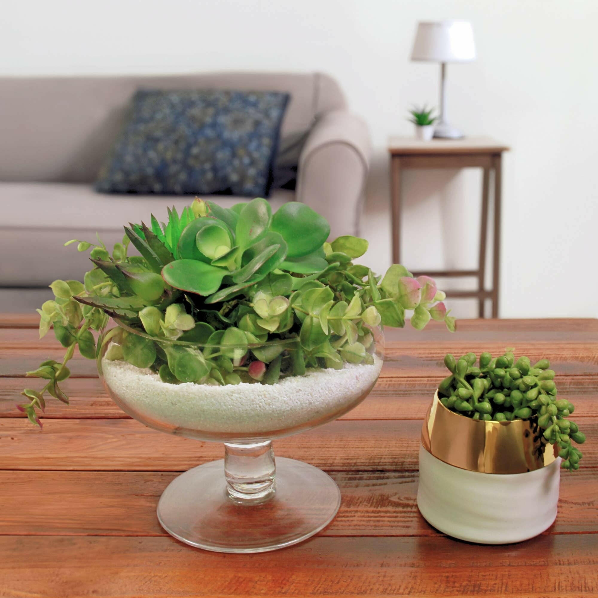 7"D Belfast Compote Glass Vase.