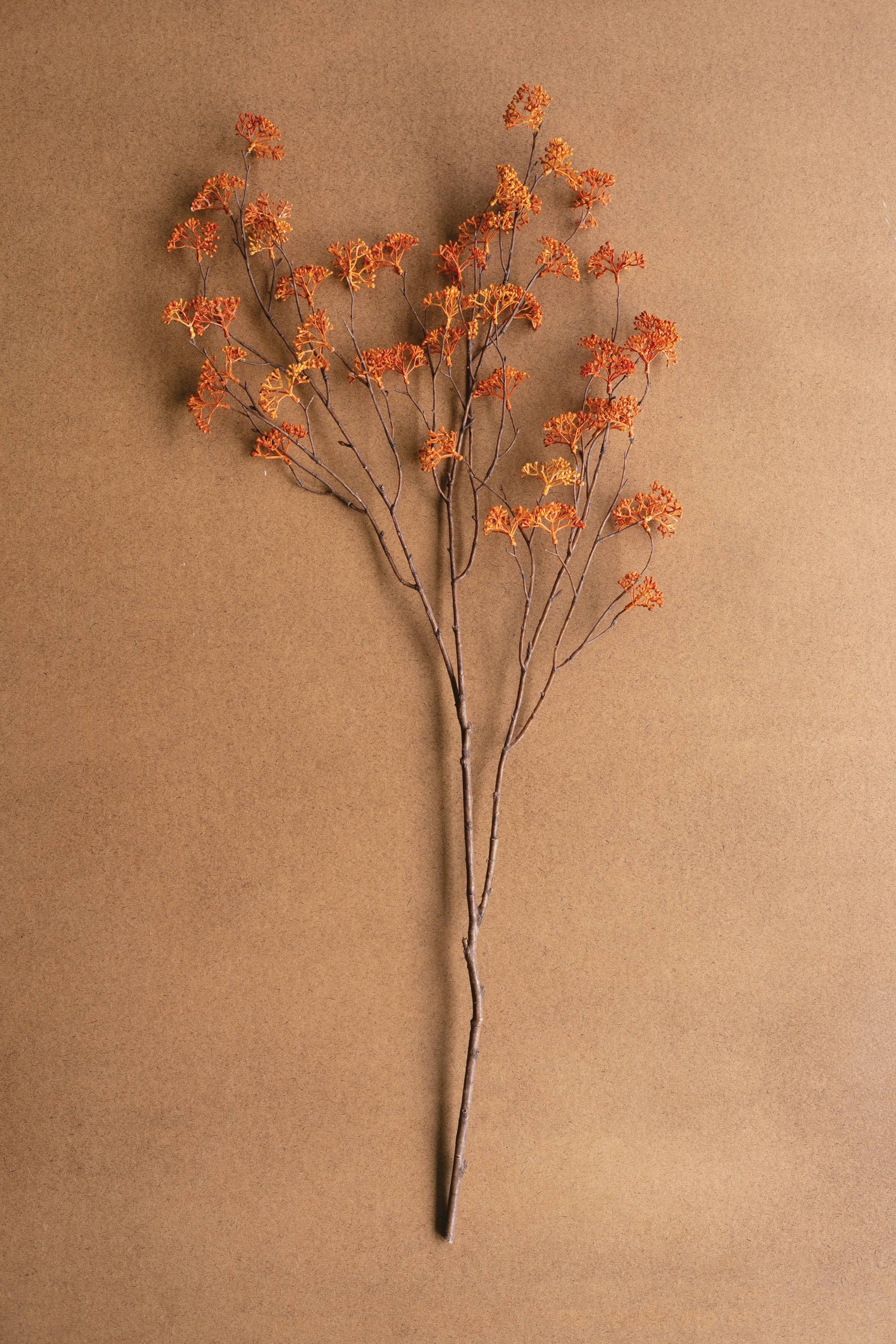ARTIFICIAL RICE FLOWER STEM - RUST