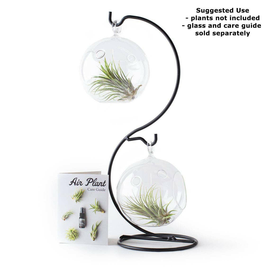 Metal Terrarium Hanger - Black.